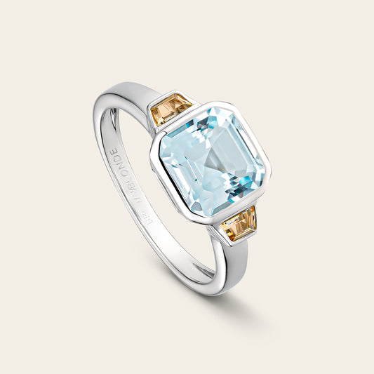 FRAME RING