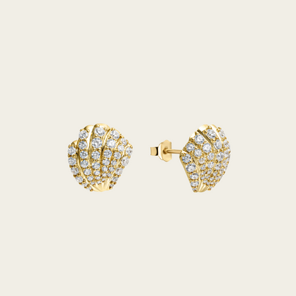 SHELL EARRINGS