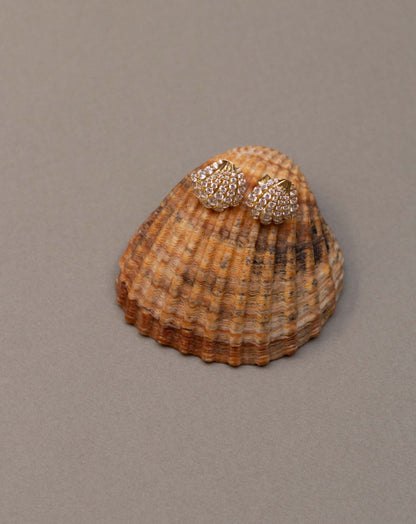 SHELL EARRINGS