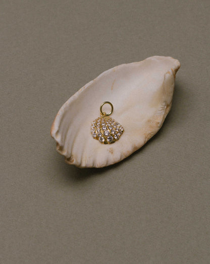 COLGANTE SHELL